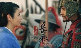 岳飞最新爆料视频播放